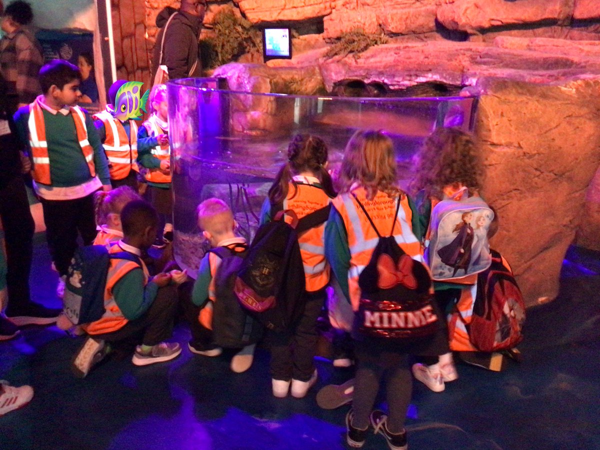 An exciting day at the Sealife Centre today!🐠🐙🐟