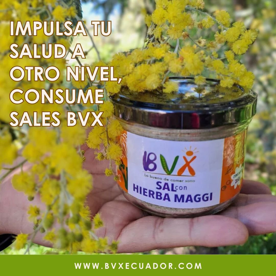 BvxEcuador's tweet photo. Deja de lado todos los condimentos que usas al momento de cocinar, mejor utiliza nuestra #SalBVX con#HierbaMaggi 🌿 que aparte de deliciosa estimula la función del #sistemadigestivo

🚚 Hacemos envíos a todo el país.
 📲099 194 6075

#mujeresec #tips #saludable #vidasana #Ecuador https://t.co/yAQSJIY8o1