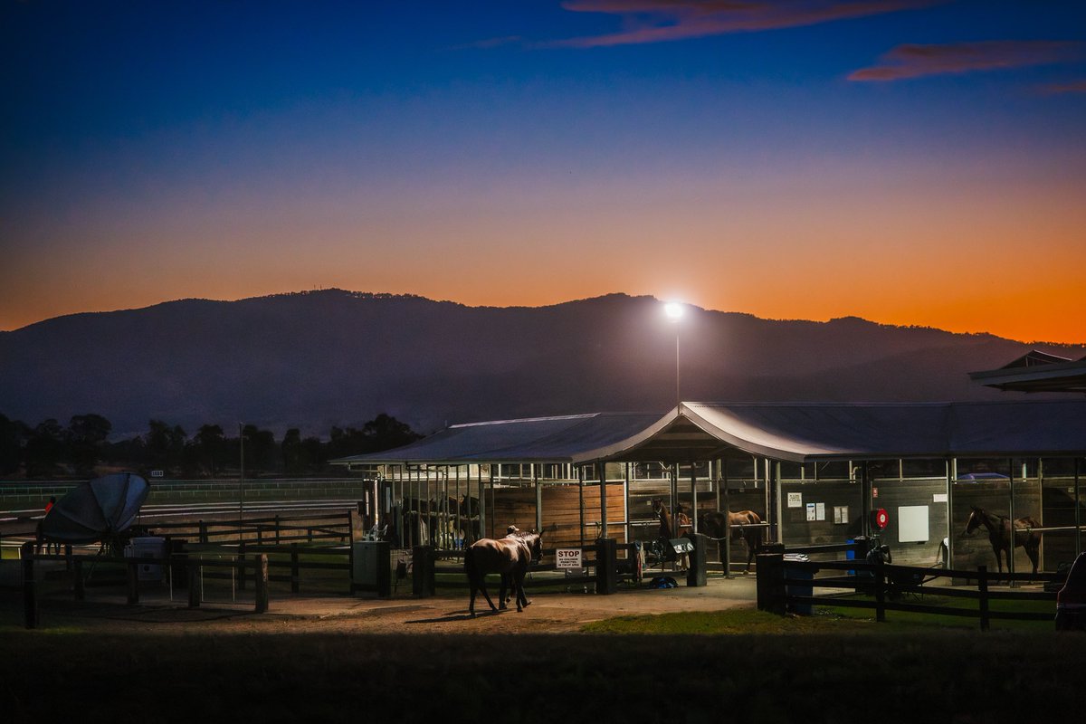 sconeraceclub's tweet image. Autumn mornings 🍂 
#trackwork #autumnvibes #sconeraceclub #premiercountryracing
