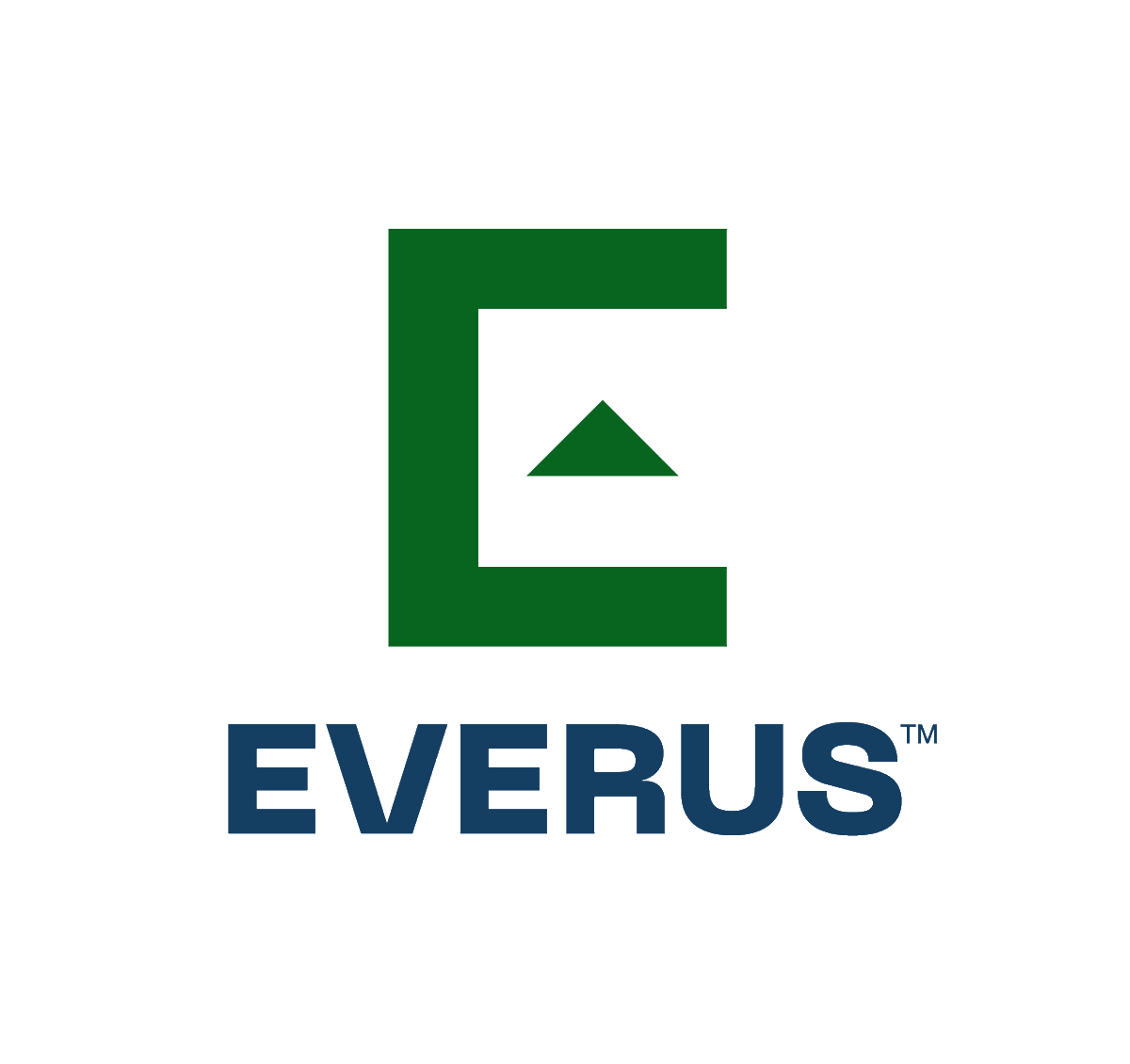 Everus (@EverusCG) / Posts / X