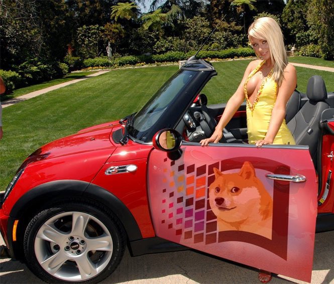 088Noir's tweet image. Meme season?
#windoge