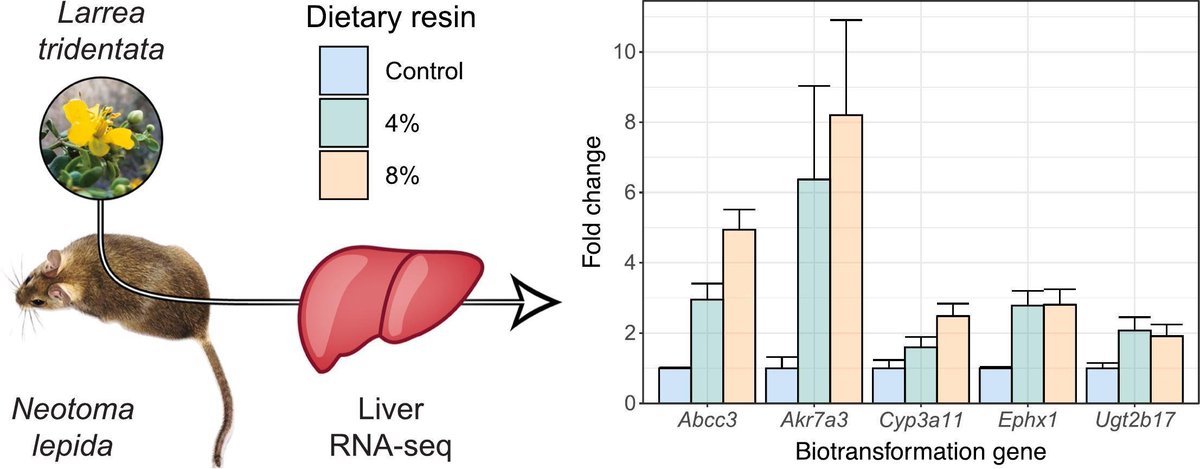 Dearing Lab – University of Utah tweet media