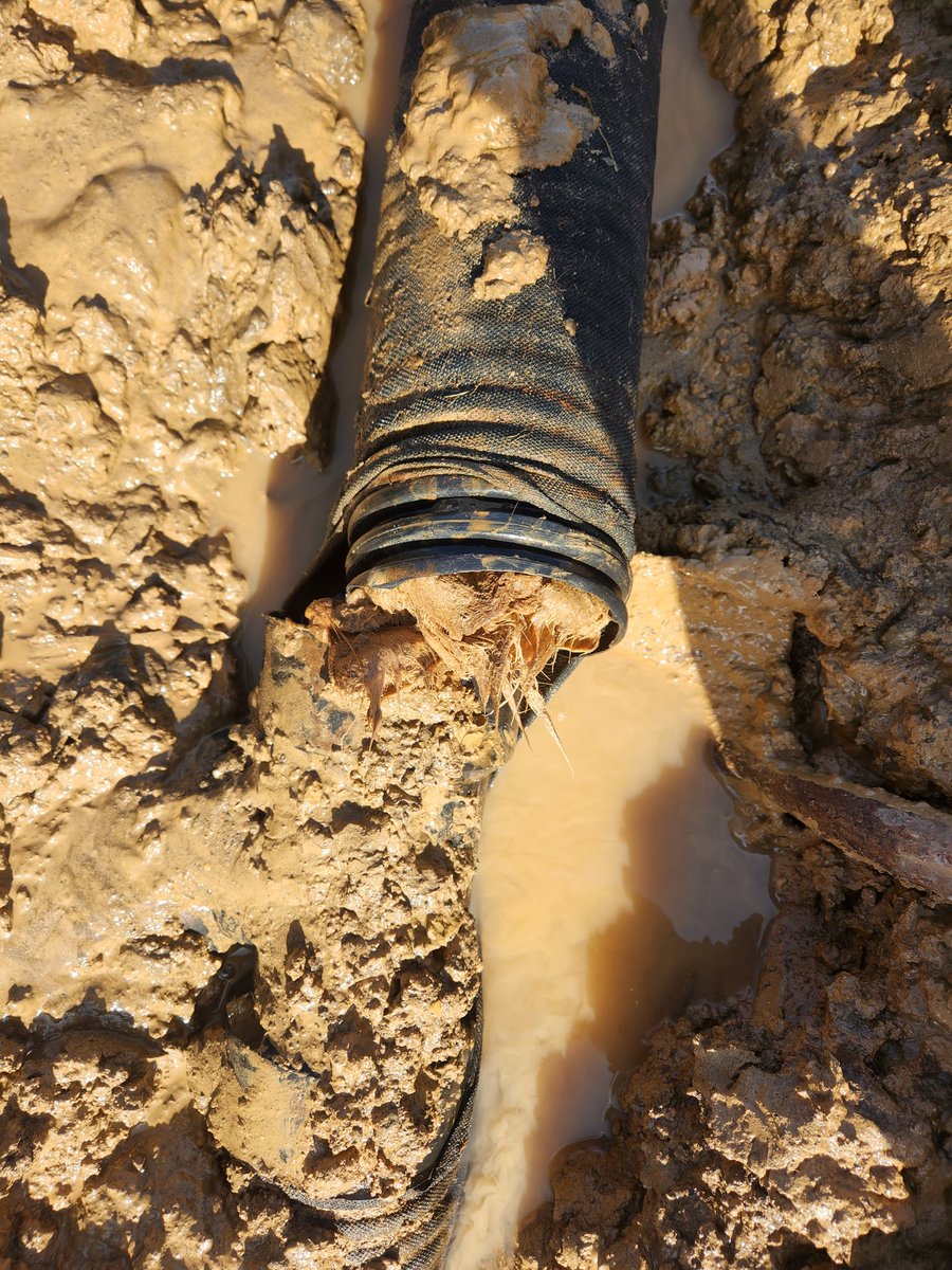 Terry Good tweet media