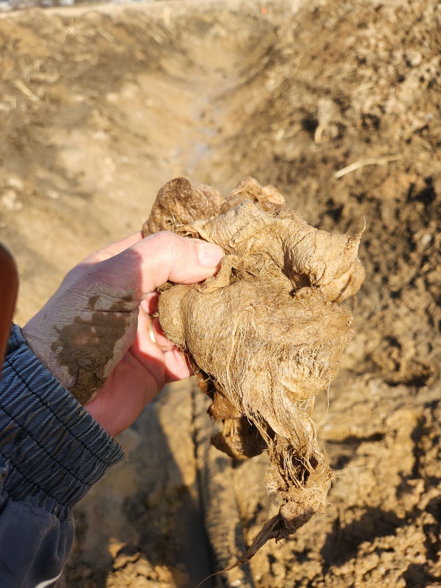 Terry Good tweet media