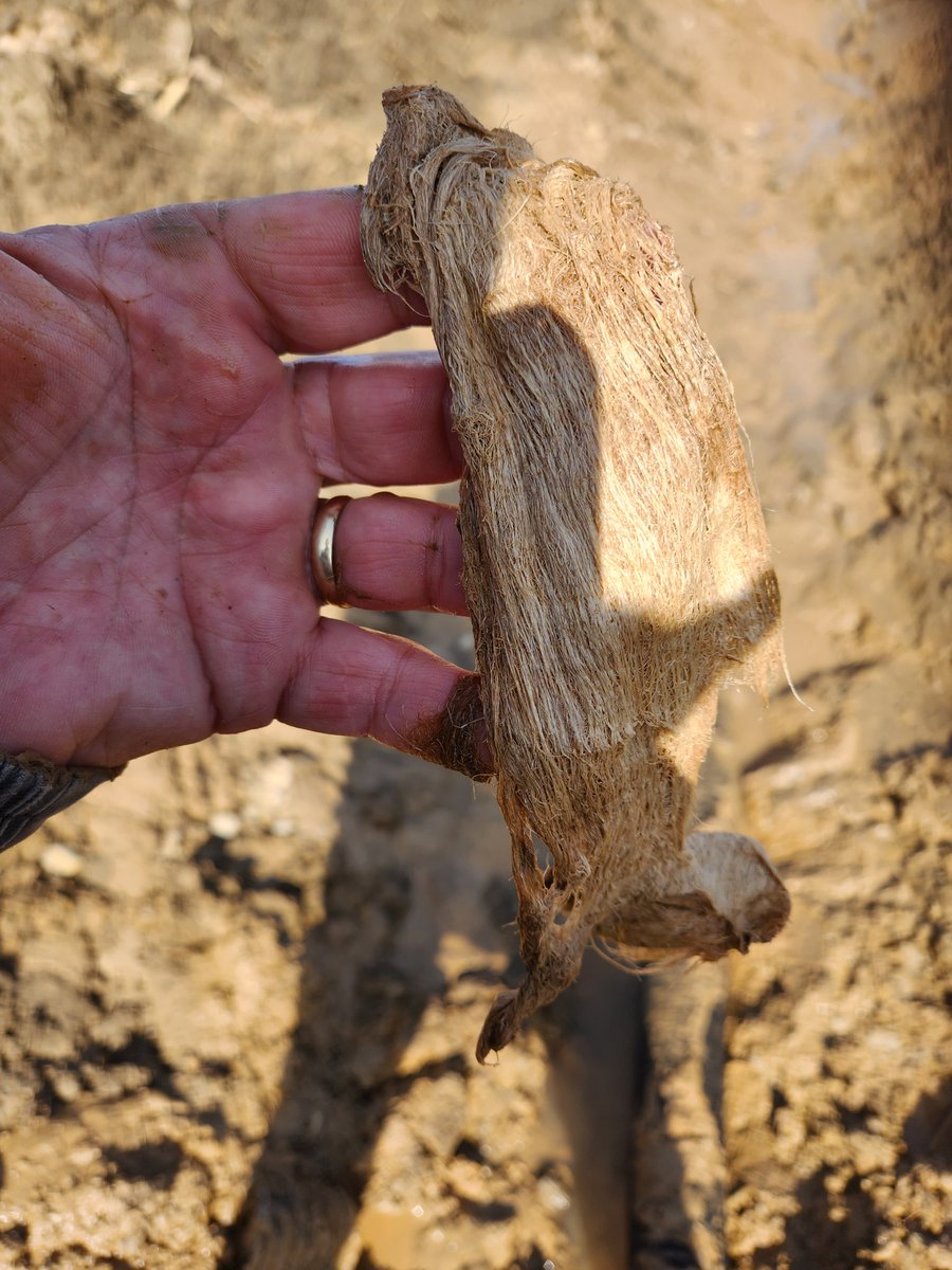 Terry Good tweet media