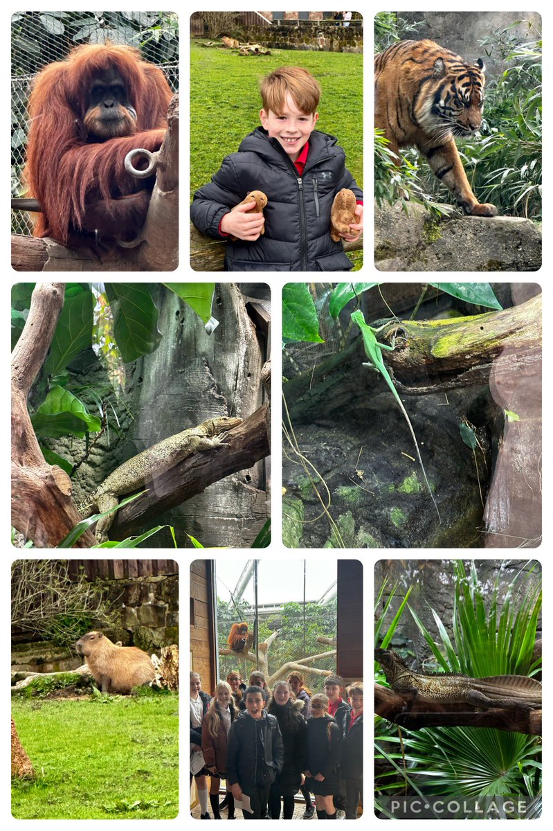 Ms Carver tweet media