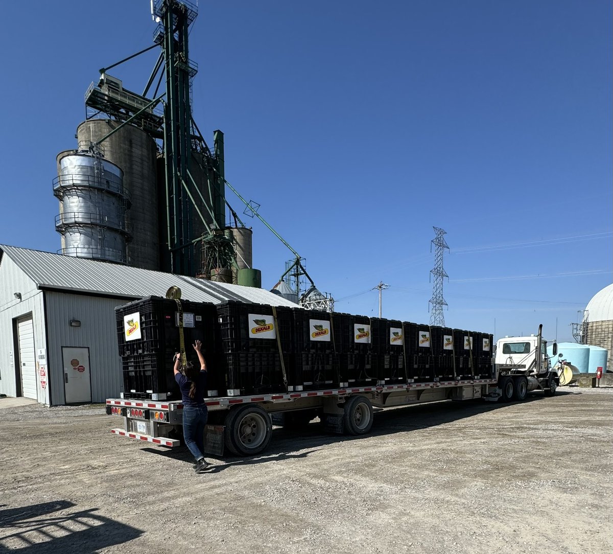 Beauty day to make space in the warehouse. ☀️ Murranda working on her right arm 💪🏻 <a href="/lakeside_melb/">Lakeside Grain & Feed Limited-Melbourne</a> <a href="/DEKALB_Canada/">DEKALB Canada</a>