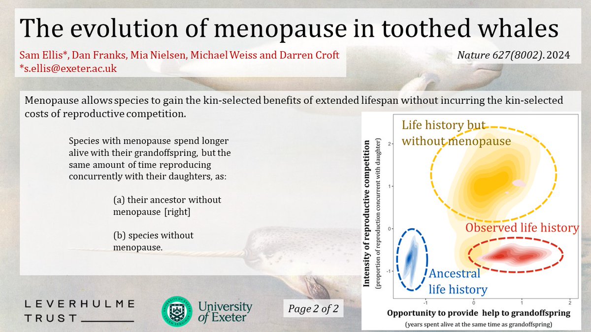 Very pleased to see our paper taking a comparative approach to understand the evolution of menopause in toothed whales published today in @Nature . Couple of slides below talking through the key results but all the details here: nature.com/articles/s4158…