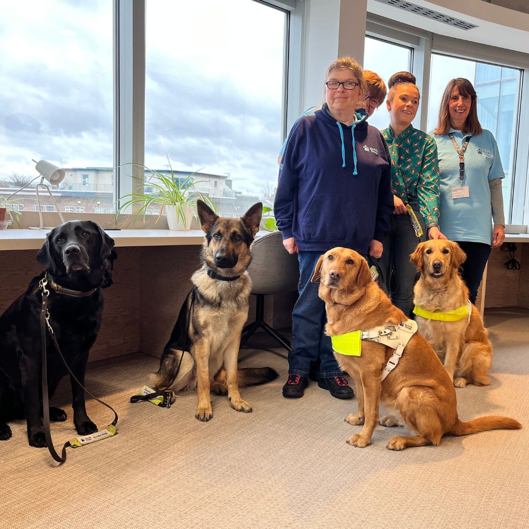 Today we welcomed some very special visitors to our London office! 😍 The team enjoyed some fluffy cuddles and learnt all about the important work of @guidedogs #SustainabilityWeek