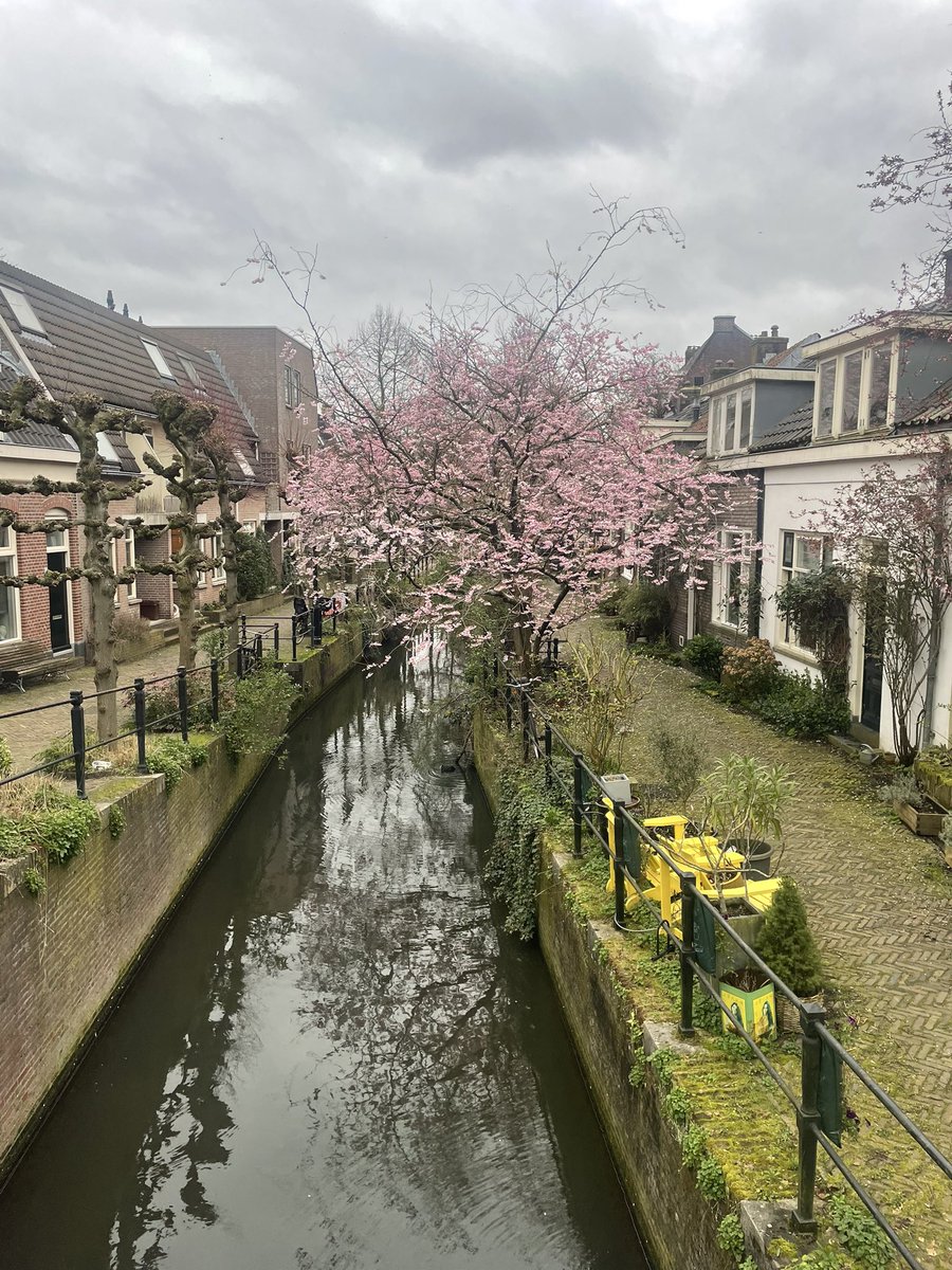 Lente. Utrecht.