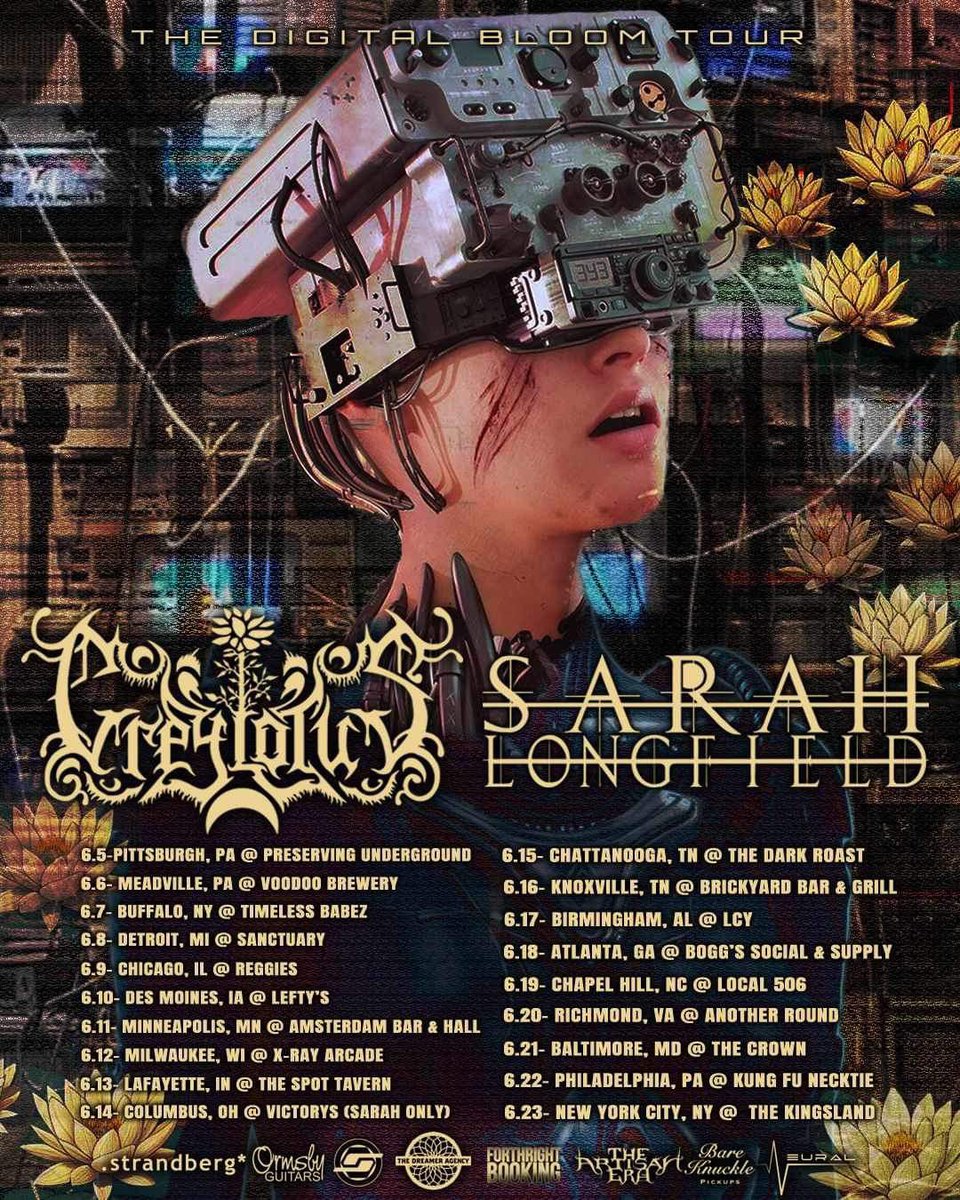 Greylotus tweet media