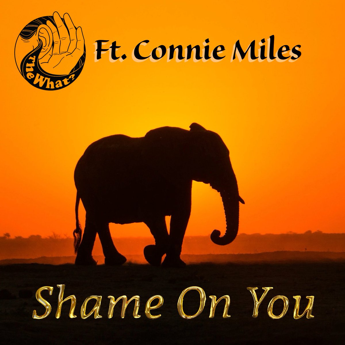 The What? (@thewhatbandrock) on Twitter photo Our new song, Shame On You, is being released at midnight. This one is a follow up to our cover of Don't You Want Me, and once again features the amazingly talented <a href="/conniem_singing/">Connie Miles</a> In fact, this is one of her songs. Give it a listen and let us know what you think Our new song, Shame On You, is being released at midnight. This one is a follow up to our cover of Don't You Want Me, and once again features the amazingly talented <a href="/conniem_singing/">Connie Miles</a> In fact, this is one of her songs. Give it a listen and let us know what you think