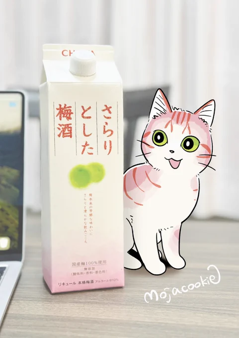 梅酒猫。 