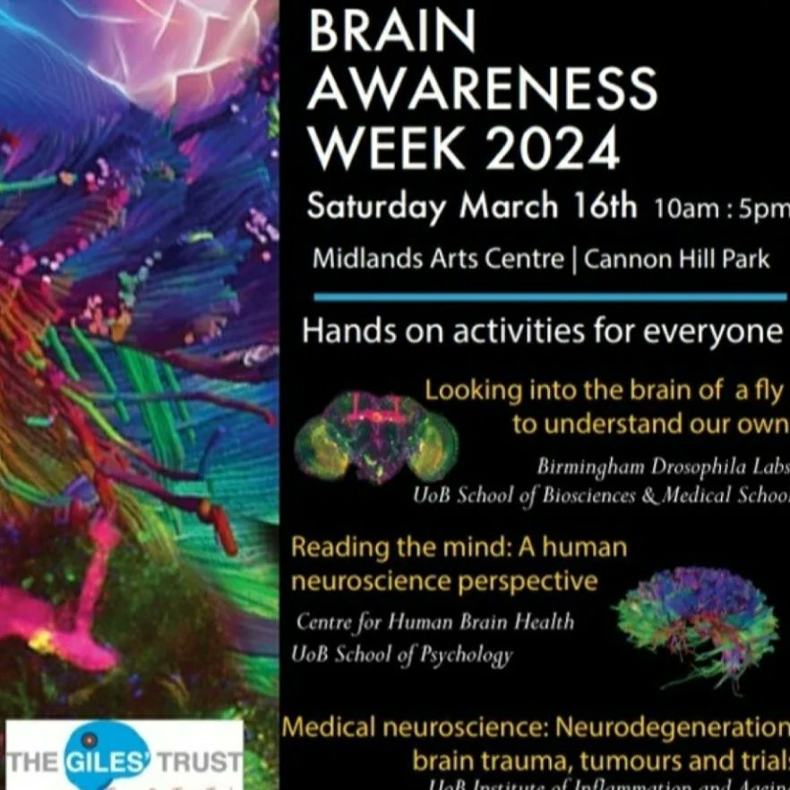 This Saturday at the exchange in Birmingham I've been invited by my Scientists at centre for human brain health to share some of my @SMQB_UoB work in progress for #brainawarenessweek2024

There's activities all day at The exchange & @mac_birmingham