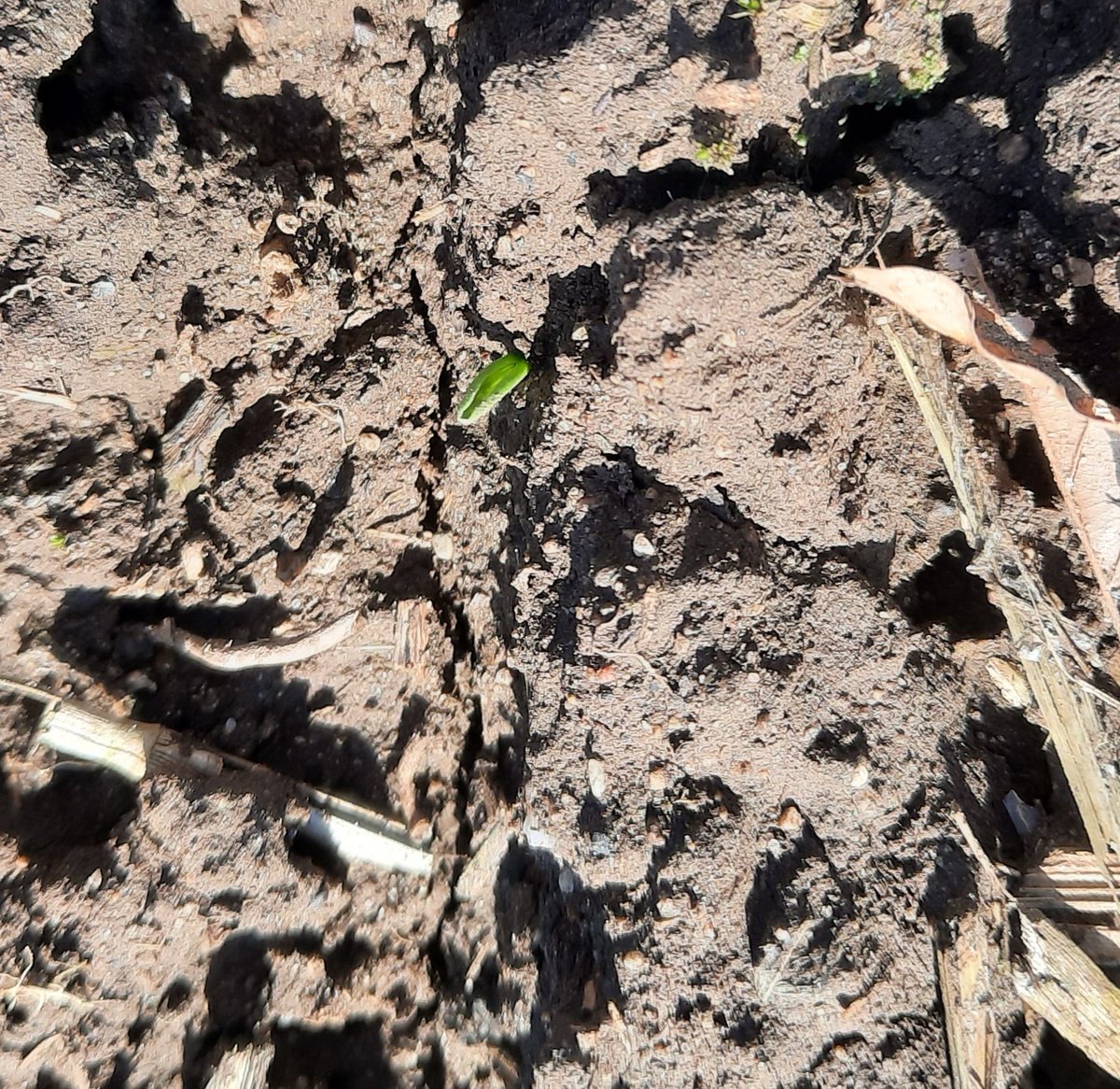 Jay Kitching tweet media