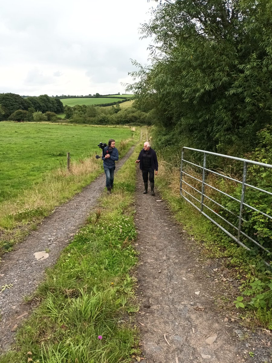 DuhallowBlueDot tweet media