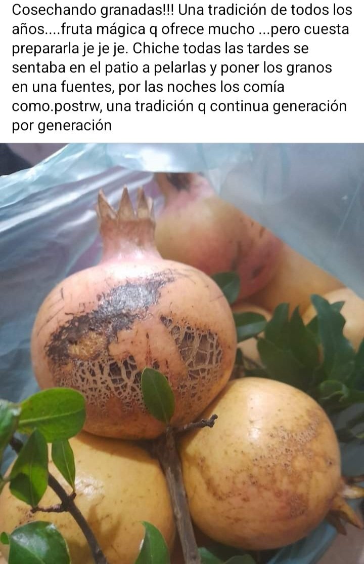 Pablo pietra (@pablo_pietra) on Twitter photo 