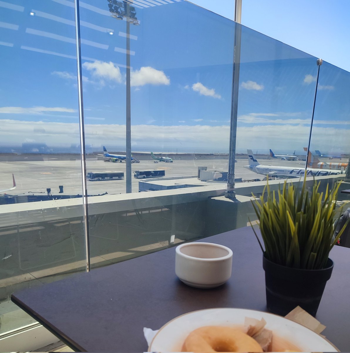 Alice-Anne Oliver tweet media