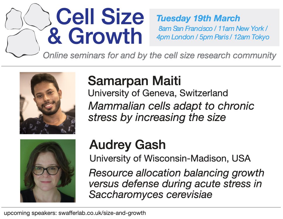 mpswaffer's tweet image. 📢Please join us next week for another exciting pair of talks at Cell Size & Growth, with a focus on the connections between cellular stress, size and growth.