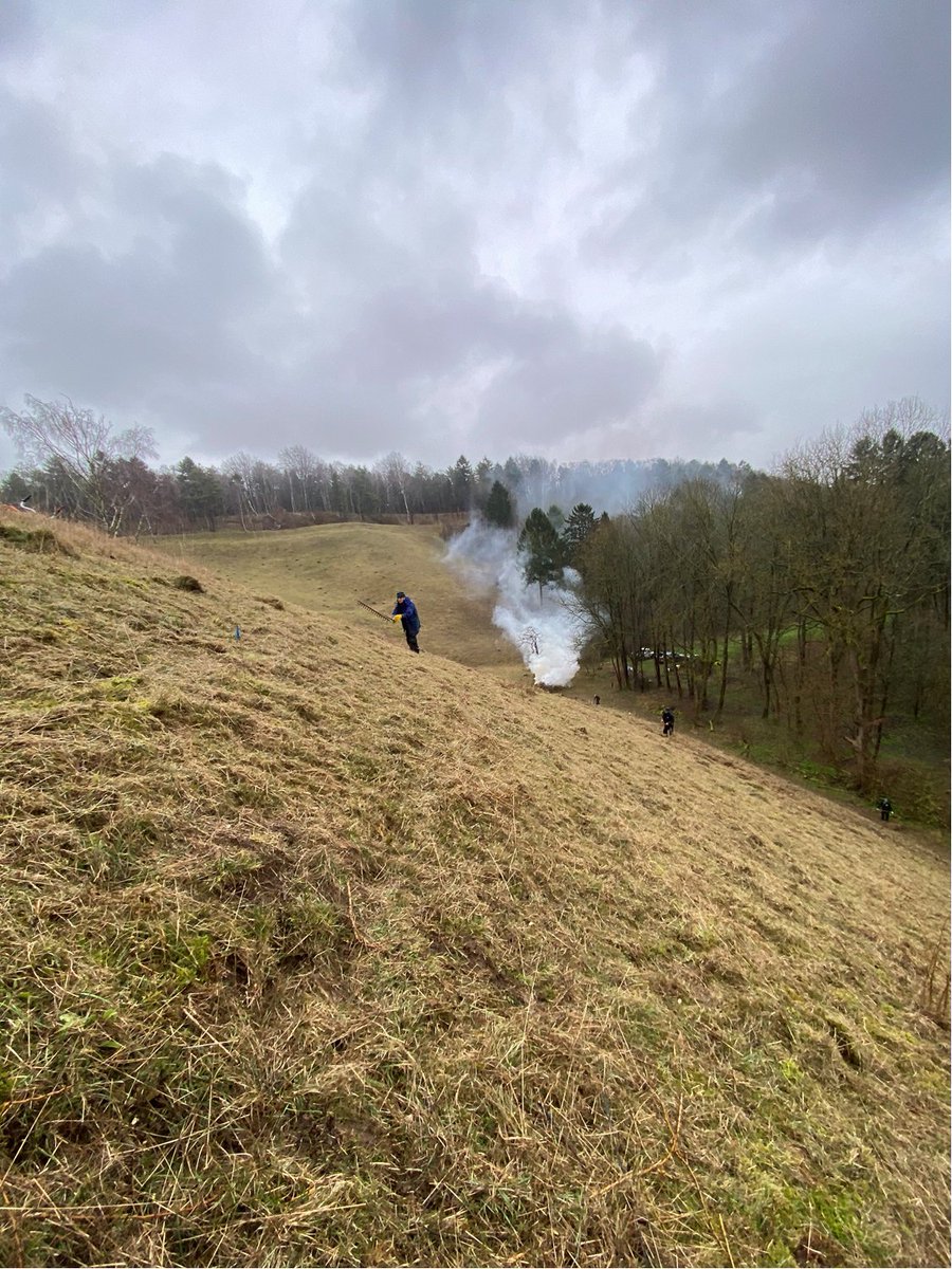 Last week our Reserve Manager was out at Barton Hills NNR with @WildlifeBCN clearing scrub on Ravensburgh Bank Site of Special Scientific Interest. Prep for grazing in summer - first time in over 40 years! Will improve this chalk grassland habitat & its rare plants and insects.