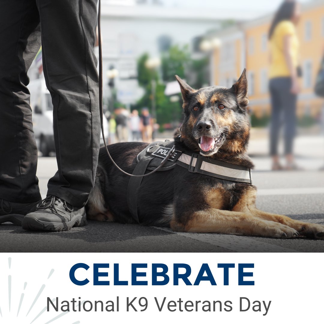 Get ready to celebrate America’s patriotic puppers! 🐾