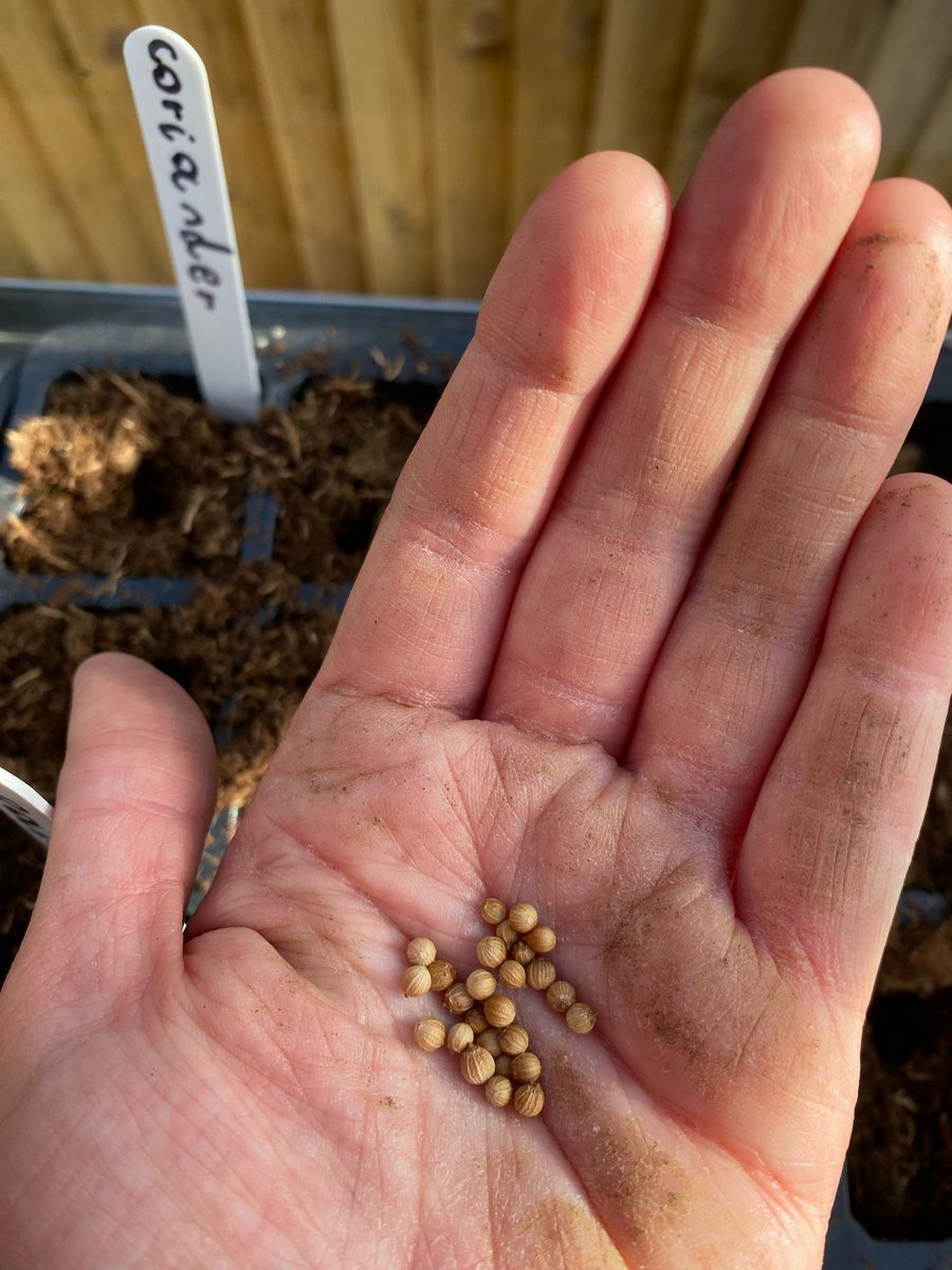 Tracey Everett tweet media