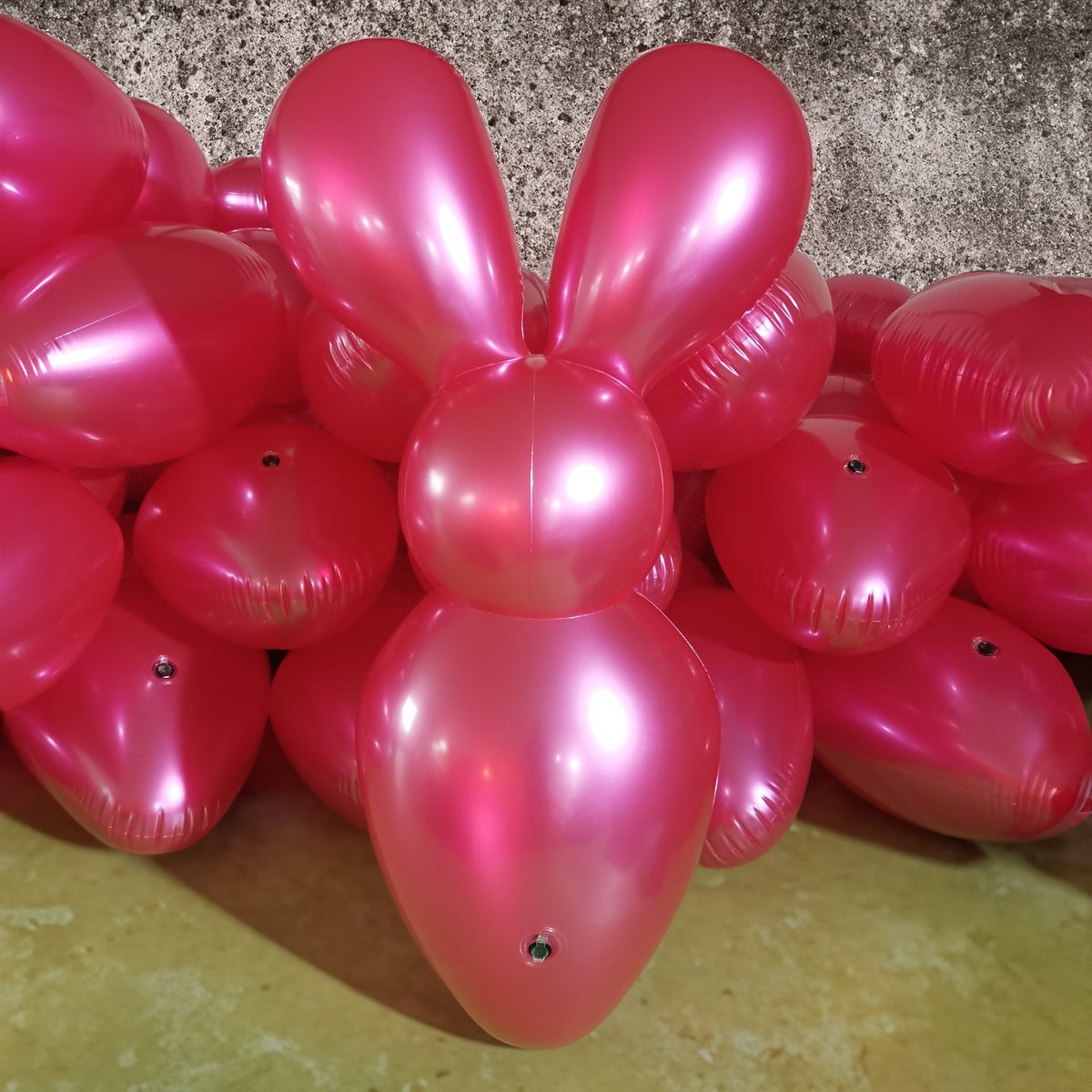 Shosu Inflatable A lot of new inflatables are coming and we would like to give you an ...