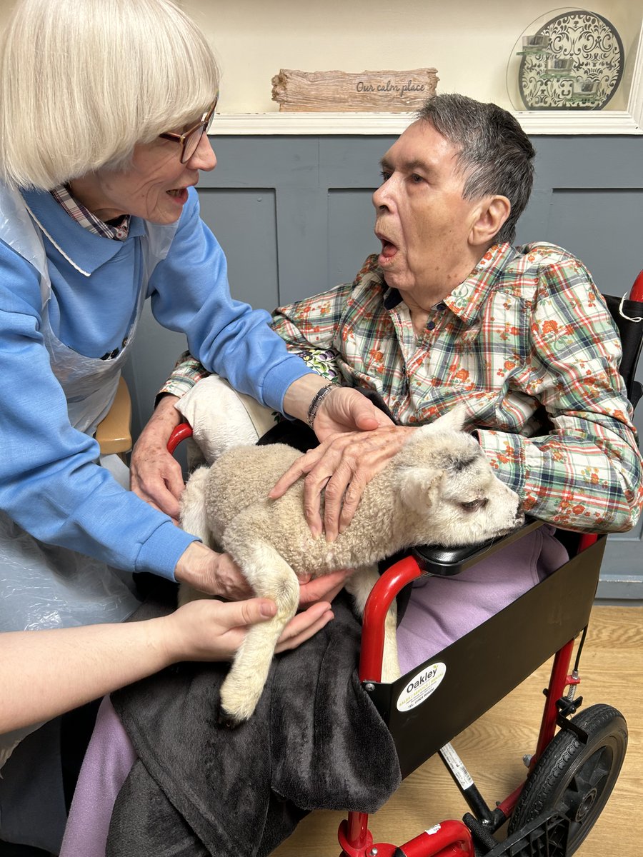 NCCTUK's tweet image. Here are some beautiful pics of our Spring lambs kindly brought into Northampton House for our dear residents &amp;amp; their families. Thank you to all the staff at Mini Meadow Farm (1/3).
 #lambseason #springtime #petfarm #ncctuk