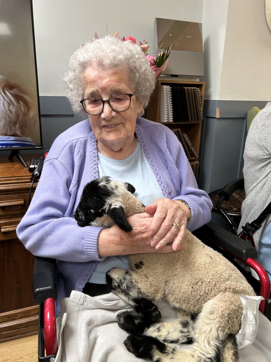 NCCTUK's tweet image. Here are some beautiful pics of our Spring lambs kindly brought into Northampton House for our dear residents &amp;amp; their families. Thank you to all the staff at Mini Meadow Farm (1/3).
 #lambseason #springtime #petfarm #ncctuk
