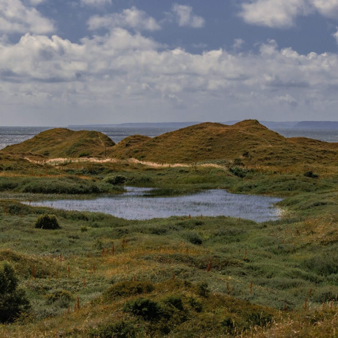 Kenfig National Nature Reserve is incredible, and that’s even before you realise a medieval village lies beneath it! Read about it among Bridgend County’s remarkable stories: visitbridgend.co.uk/be-inspired/ta… 📷 dave_j_morris #VisitBridgend #VisitWales #history #hiddentreasure