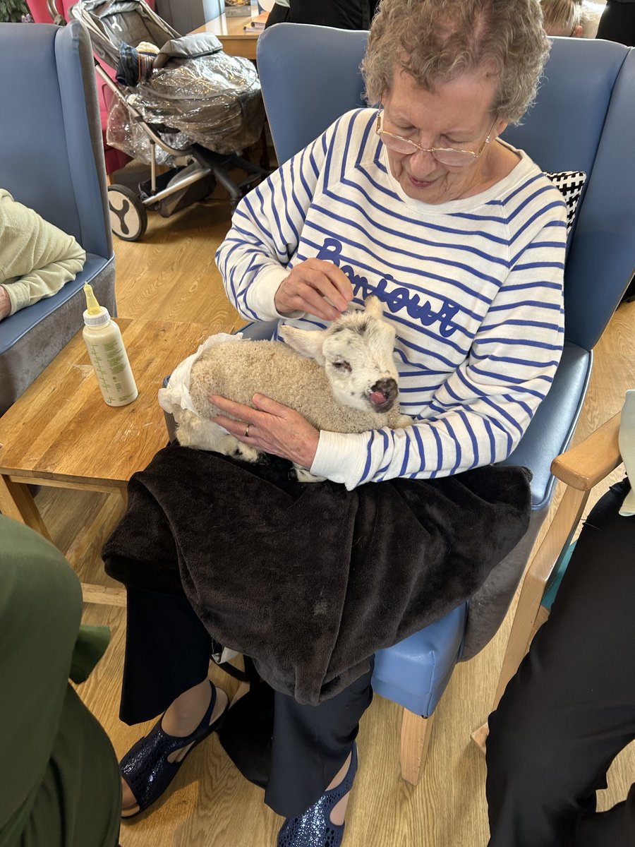 NCCTUK's tweet image. Our residents at Northampton House and their families had a wonderful time feeding and petting the cute lambs from Mini Meadows Farm (2/3) #lambseason #springtime #petfarm #ncctuk