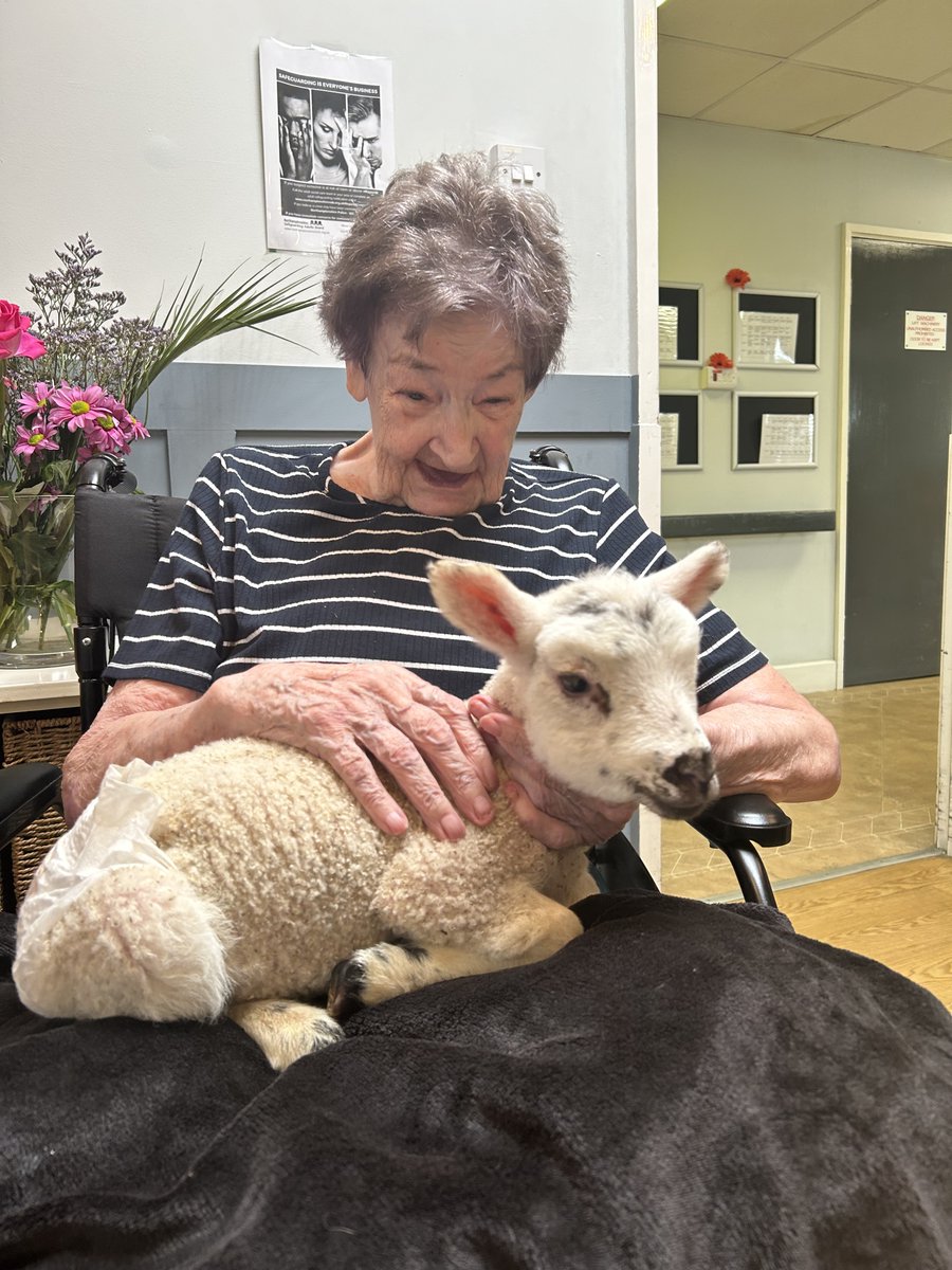 NCCTUK's tweet image. Our residents at Northampton House and their families had a wonderful time feeding and petting the cute lambs from Mini Meadows Farm (2/3) #lambseason #springtime #petfarm #ncctuk