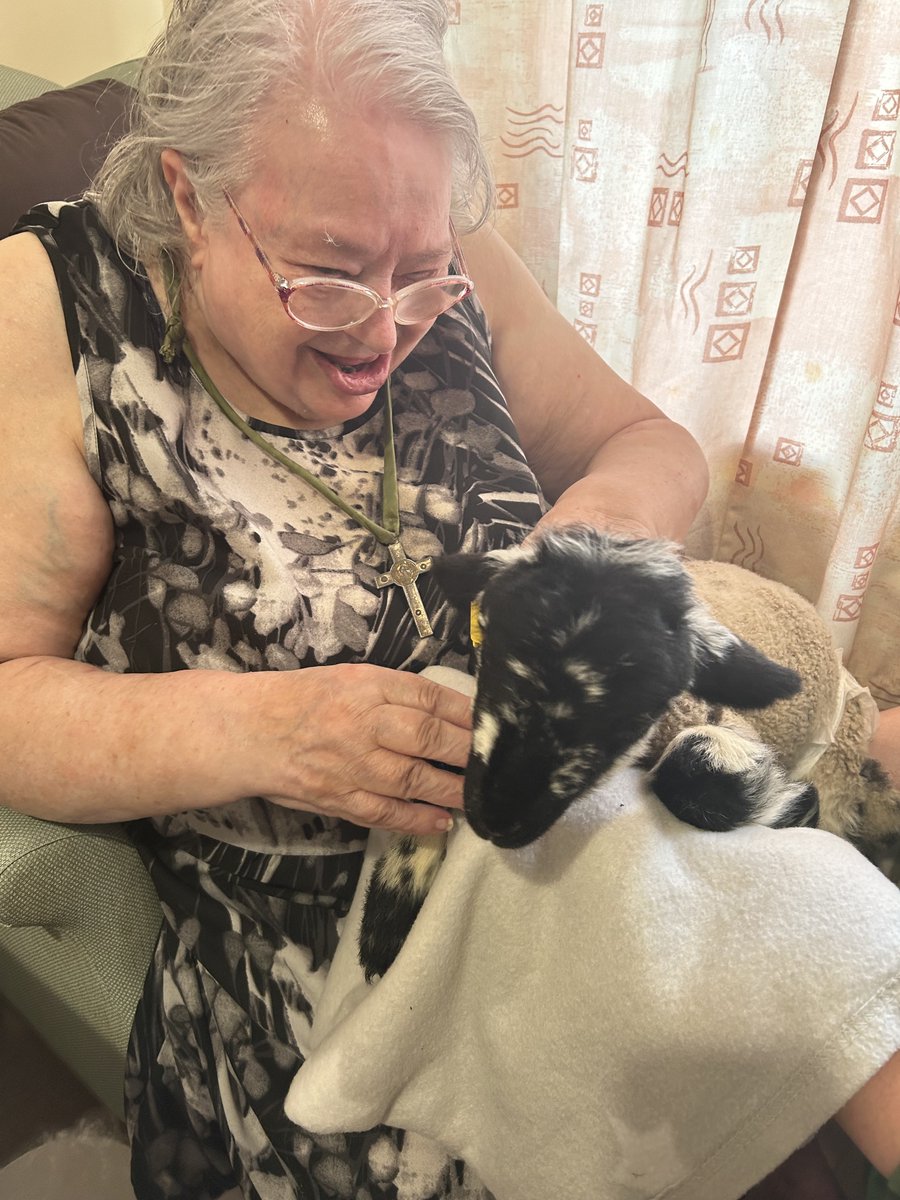 NCCTUK's tweet image. Our residents at Northampton House and their families had a wonderful time feeding and petting the cute lambs from Mini Meadows Farm (2/3) #lambseason #springtime #petfarm #ncctuk