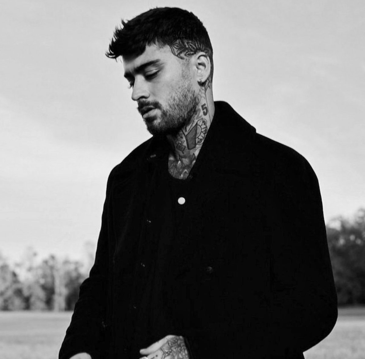 zayn in black&white ♡ (@bwzaynmalik) on Twitter photo 