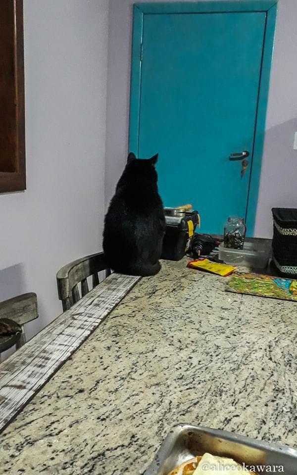 FernandoPoeta_'s tweet photo. Eu bati em tudo que foi porta achando que eu ia me atender. Levei um susto grande porque esqueci de bater na porta dentro de mim. Também nem tinha porta, tudo bem escancarado. Fiquei na dúvida: entrar ou ir embora?

Alice Okawara, fotografia https://t.co/wEsdUqXH6s
