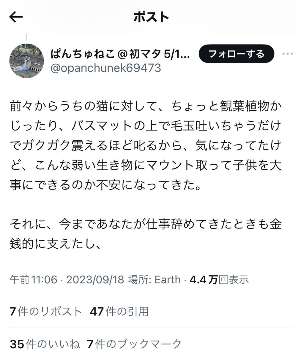 ___hamu_____'s tweet photo. 里帰り中、まさか旦那と猫だけの状態にするつもりじゃないよね？？？？？？ https://t.co/DoeNx3qDQG