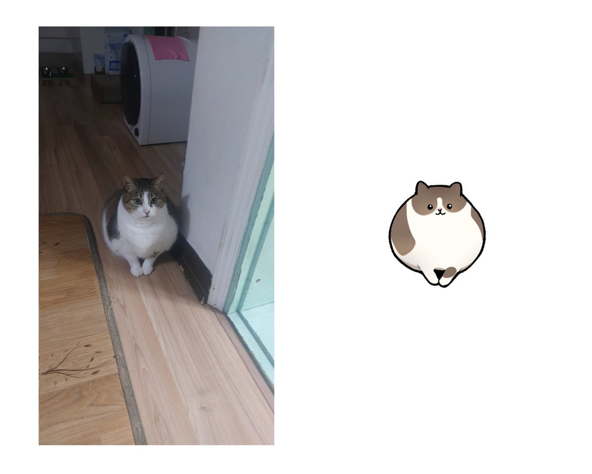 Kuma_Kun9's tweet photo. I just draw my cat https://t.co/9urpXTu7RB