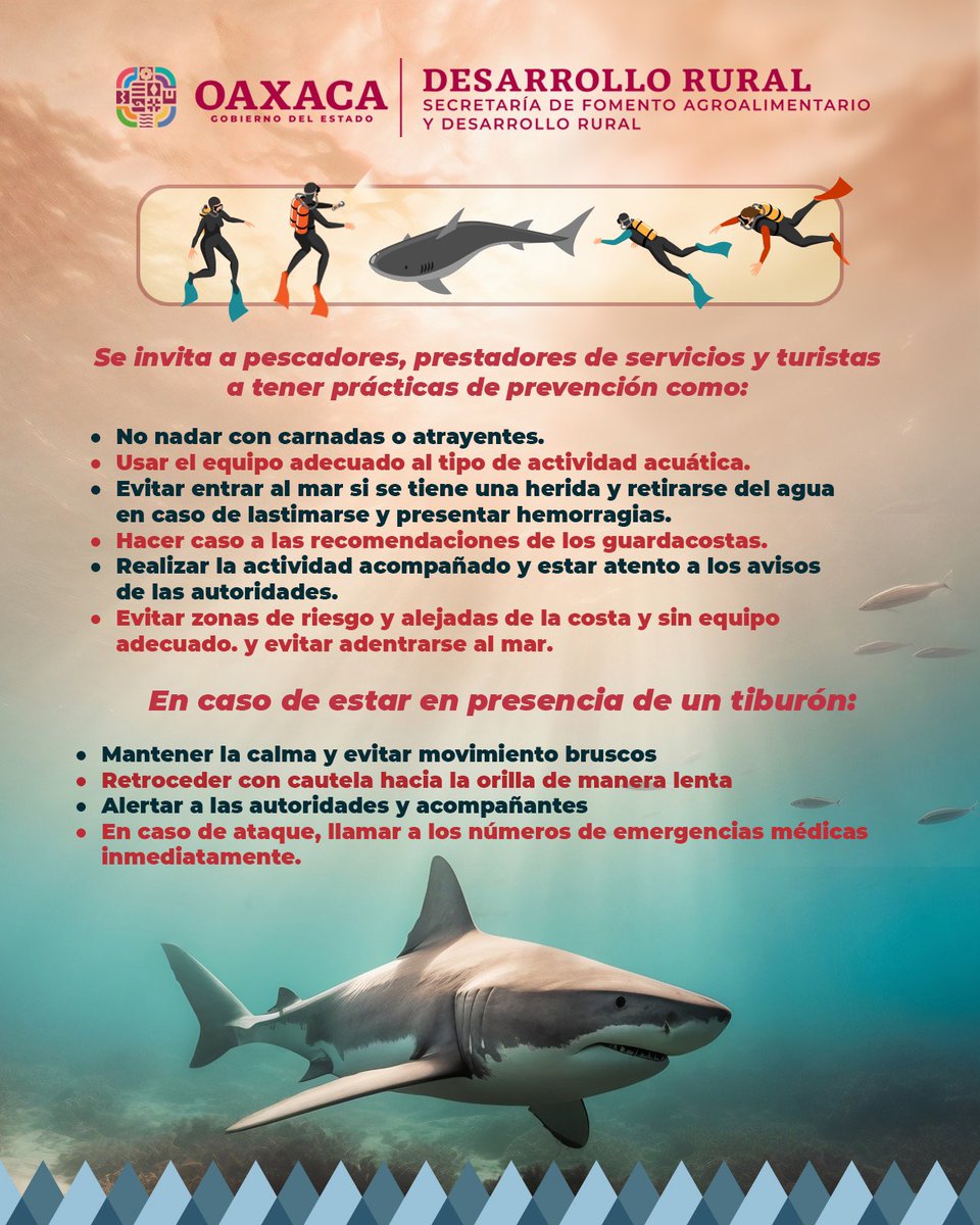 SEFADER_GobOax's tweet photo. ⚠️ Atención a pescadores, prestadores de servicios y turistas, les invitamos a tener prácticas de prevención a la hora de introducirse al mar 🌊 🦈 https://t.co/A09FAJ1Xgv