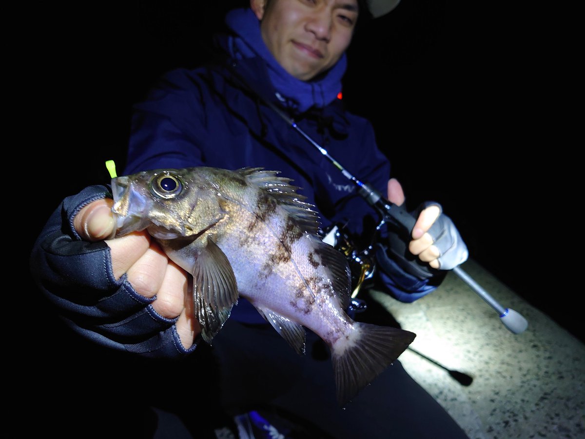 imason_06's tweet photo. ナカシくんとメバリング
釣り上手いからある程度の情報教えてお互いサクッと1尾目は取れたけど雨の影響かショートバイト多発で数が伸びずお互い2尾ずつ釣ってend https://t.co/99WkdKAWMt