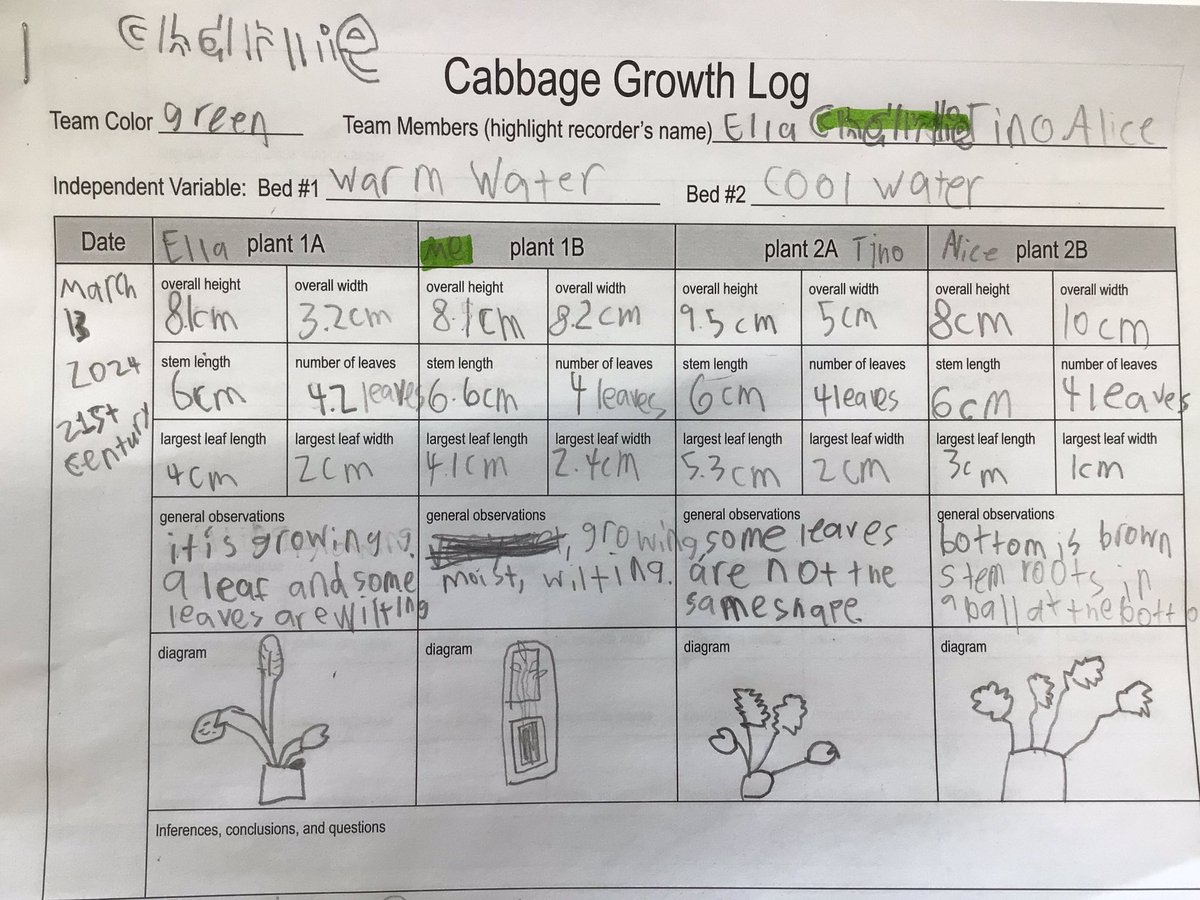 Mary Blackwell tweet media