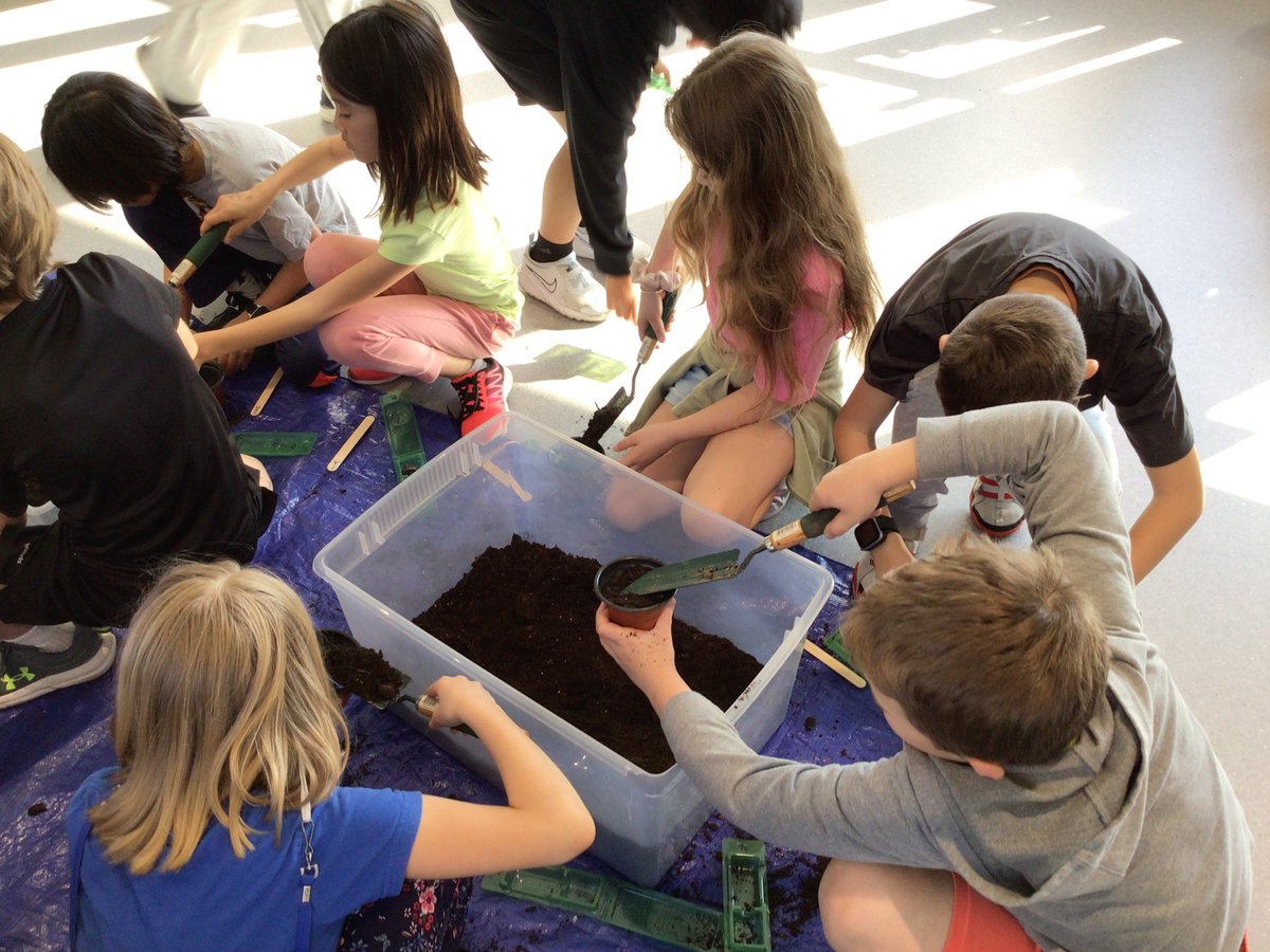 Mary Blackwell tweet media