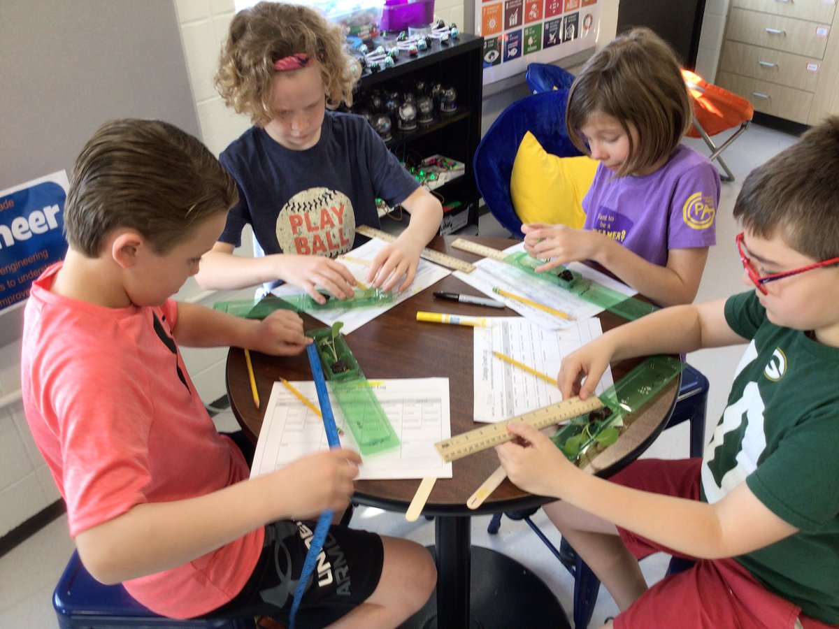 Mary Blackwell tweet media