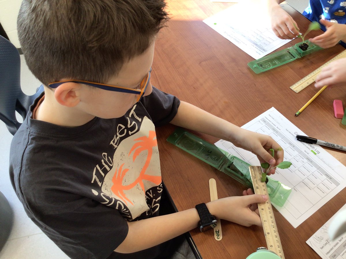 Mary Blackwell tweet media