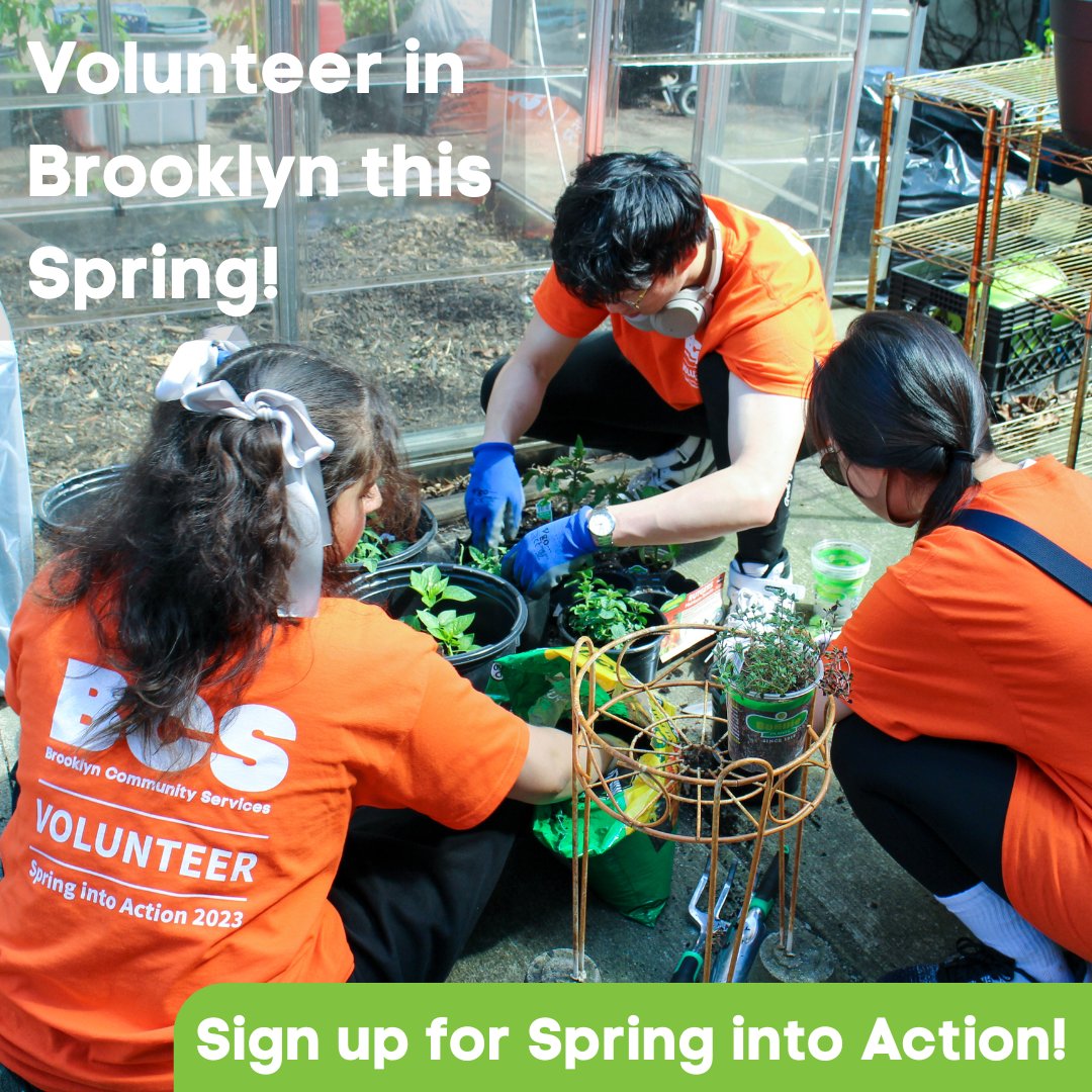 Join BCS April 1-May 10 for our annual corporate engagement initiative! Sign up to work side by side with Brooklynites from our different programs across the borough. Head to bit.ly/43cKN45 to register your group and learn more! #volunteernyc #volunteer #nyc #brooklyn