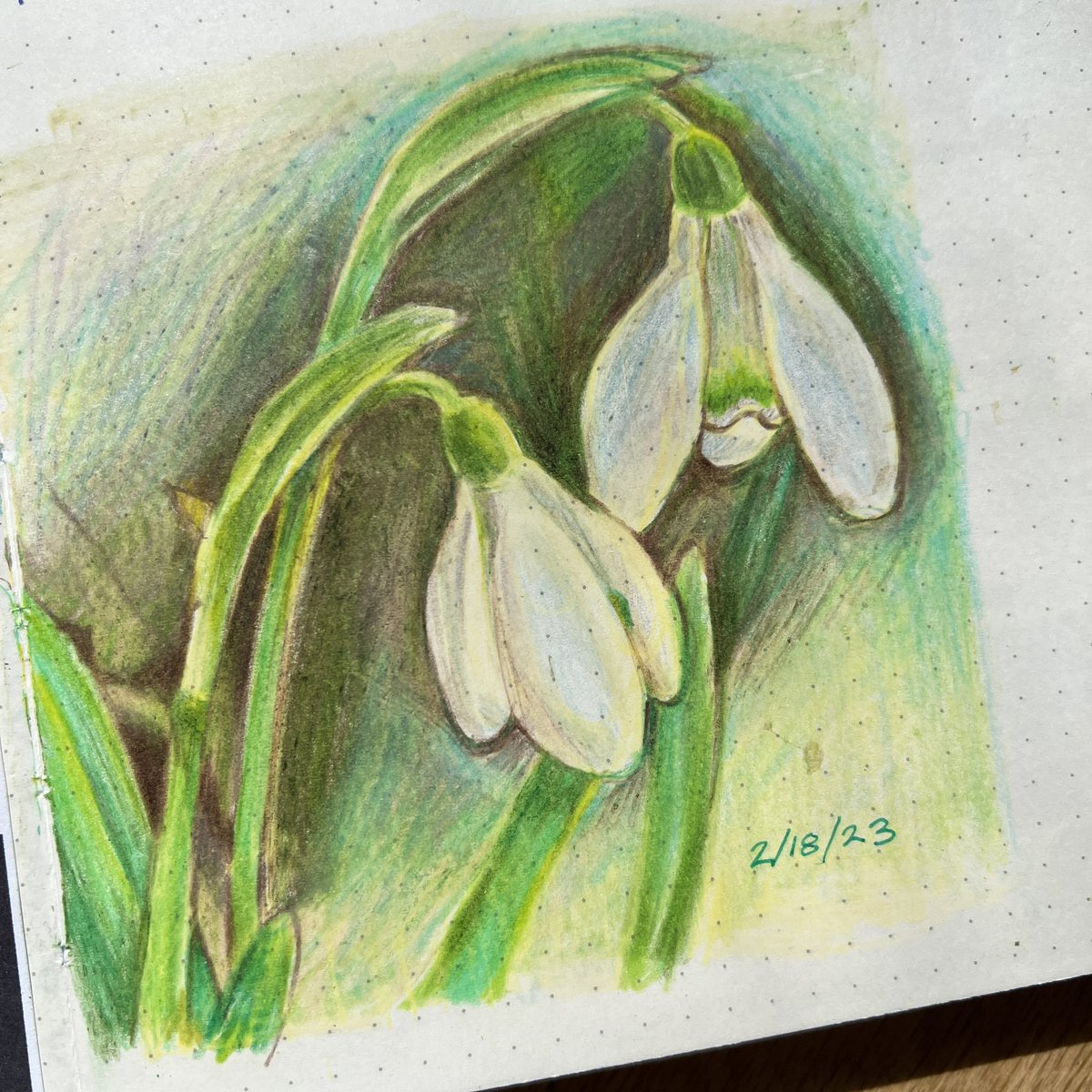 Mossfrog Press tweet media