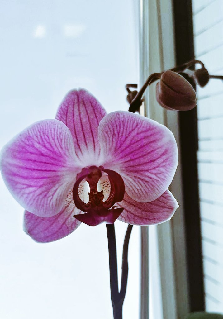 marylenear's tweet photo. Miracles al despatx! https://t.co/c4Ap1ANqy8