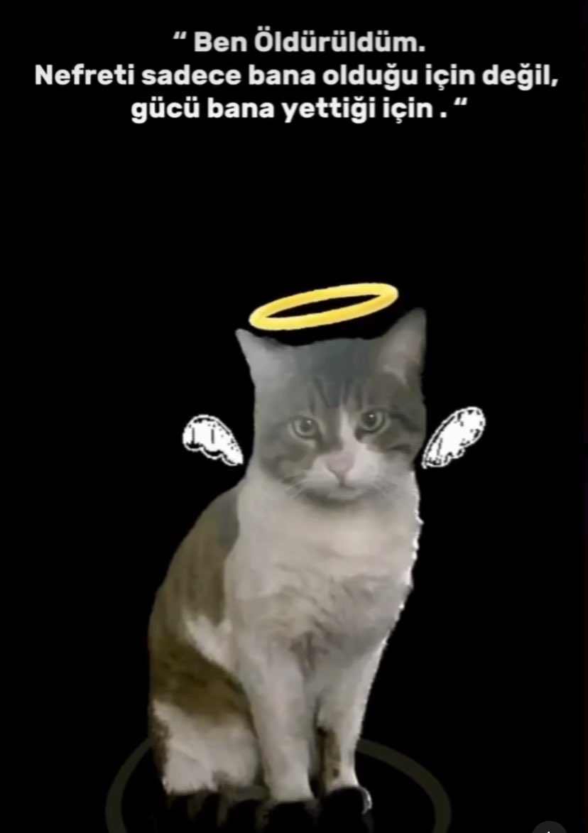 İnşallah psikolojisi bozuk birine denk gelirsin! 👿iblis ibrahim 🤬 yaşattığını yaşamadan ölme aynı acıyı misliyle çekmeni umut ediyorum😡 #hayvanlarsahipsiz değildir. 🐕❤️‍🩹🐈erosum🥺😔