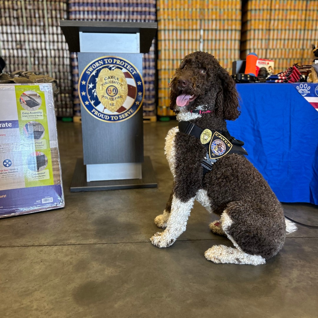 City of Cayce Police Department tweet media