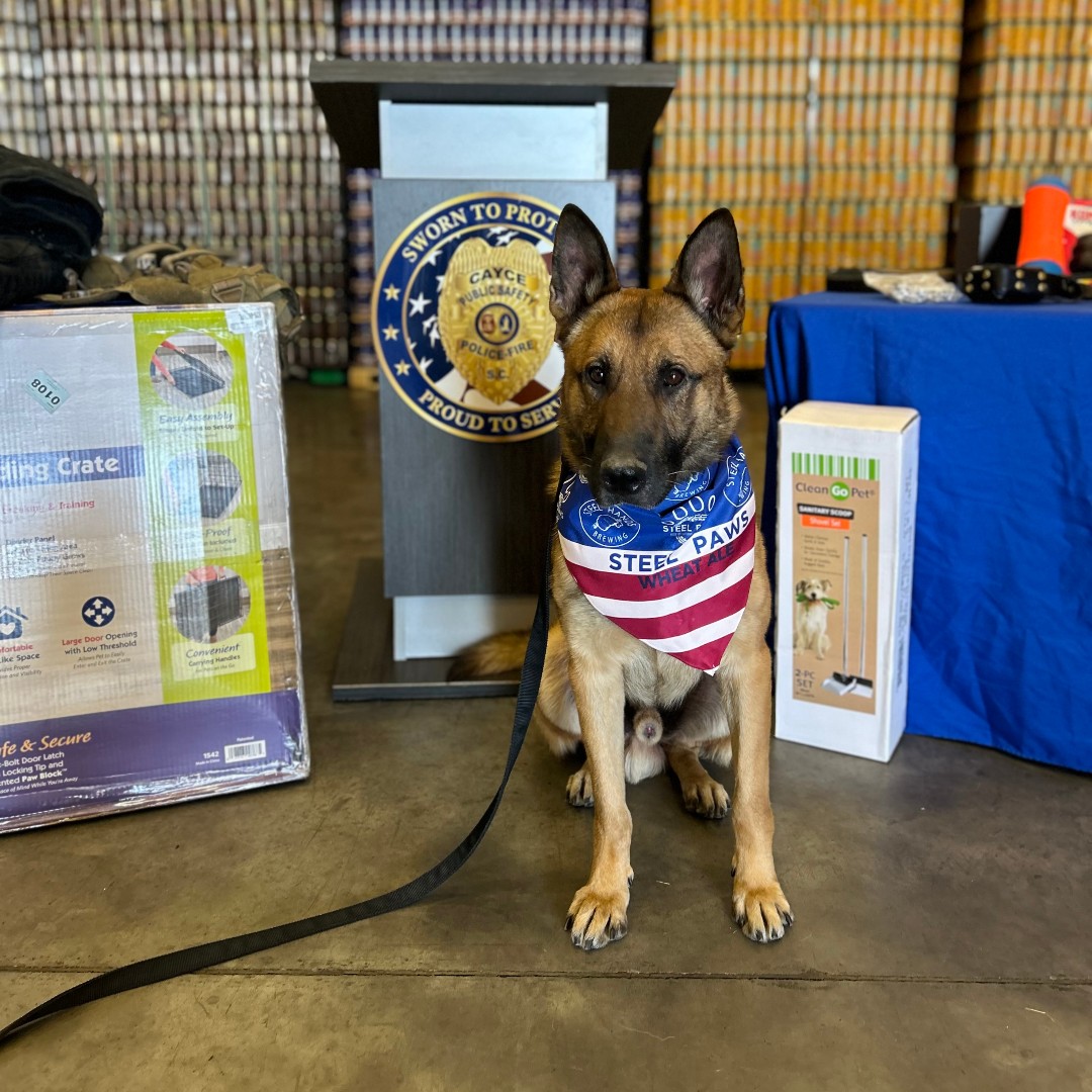 City of Cayce Police Department tweet media