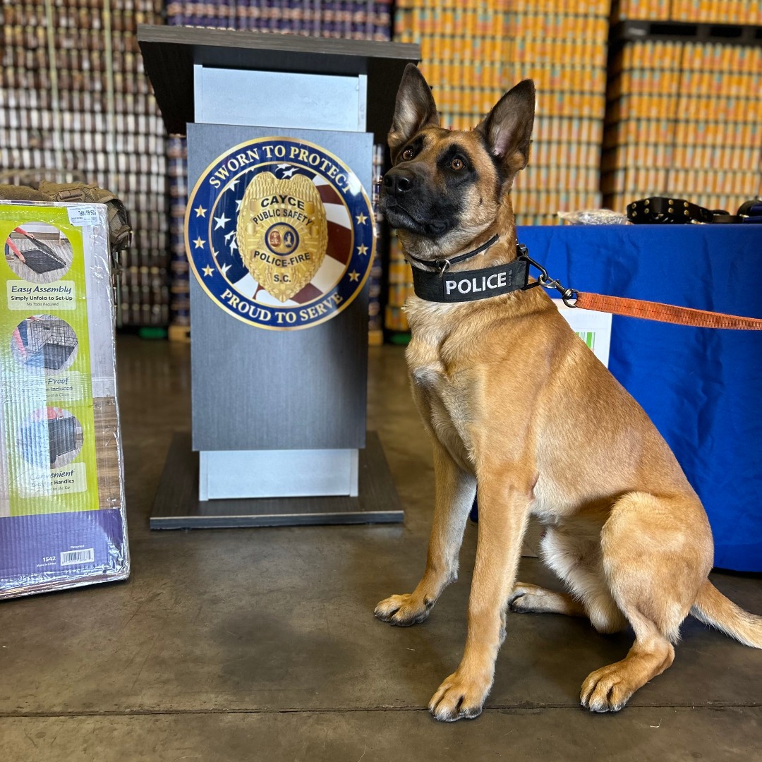 City of Cayce Police Department tweet media